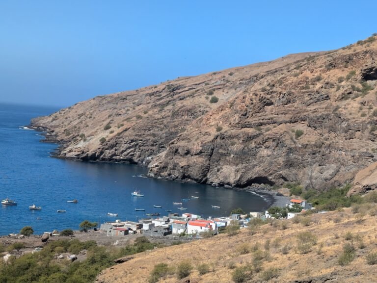 PXL_20260208_122817211