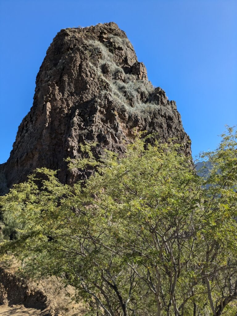 PXL_20260209_165906399