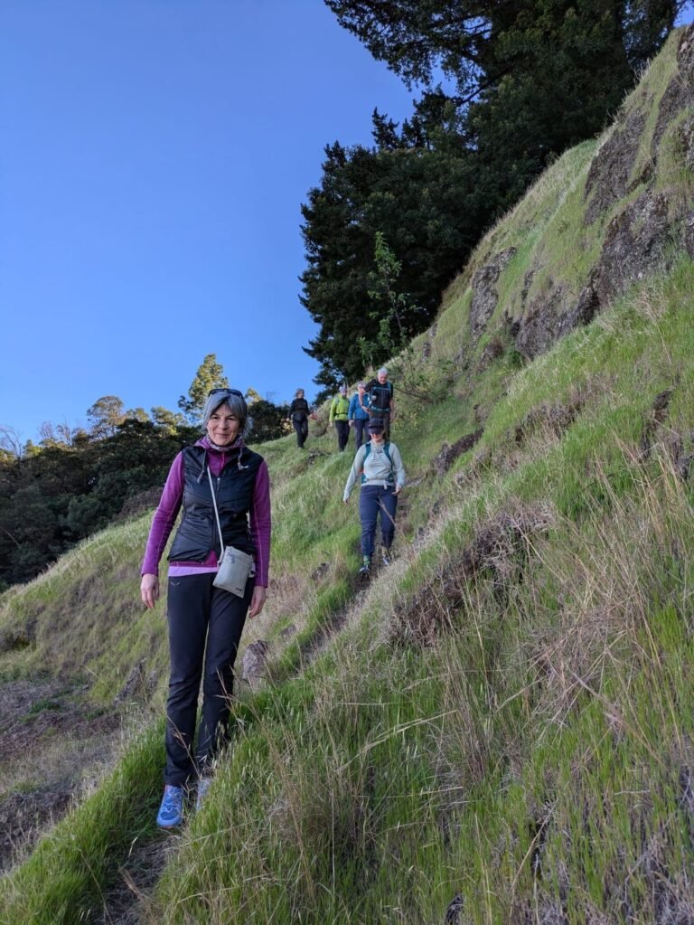 Caminhada Na Floresta De Pico Da Cruz (1500m Altitude) cabo verde santo antão em África