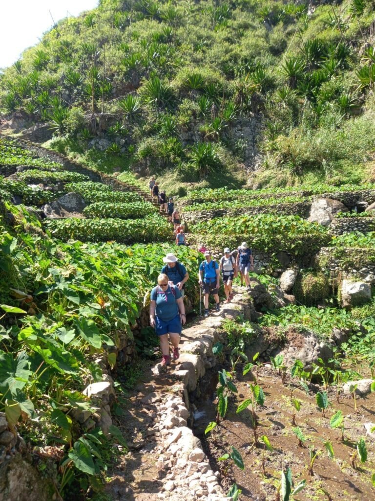 Hike Tropical Garden, Pico de António (Paul),Cabo de Ribeira